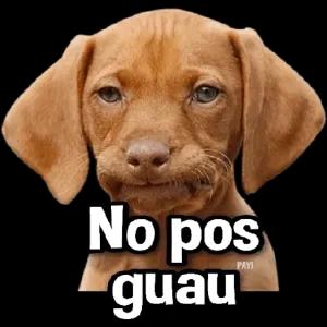 No pos guau - getsticker.com