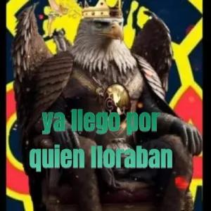 14hZzt