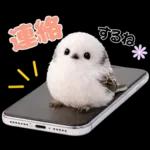 とってもかわいい♡シマエナガちゃん