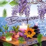 Buona notte! Sogni belli! Dolci Pensieri