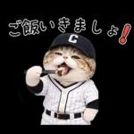 野球をする猫