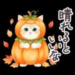 秋冬 毎日使える コスにゃんず 日常