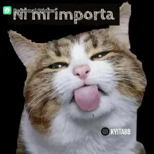 BIgXH2