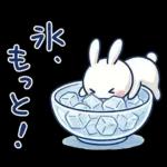 毎日使える夏☆ほぼ白うさぎ