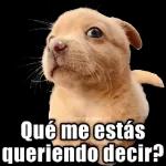 Pegatinas divertidas