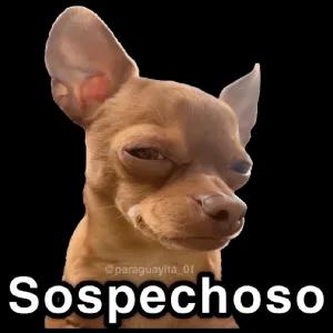 Sospechoso - getsticker.com