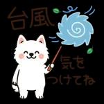     にこにこ気分でいこう