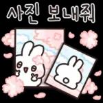 봄봄봄 ~ 봄이 왔어요