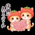 毎日使える 茶トラねこ 春 日常 いちご帽子