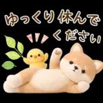 癒やしばいぬで春の日常スタンプ