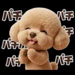 一年中使えることば集☆トイプードル