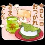 和菓子で敬語❤️いやしばいぬ❤️柴犬