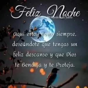 Feliz Noche Mi Mundo es tu Sueño Aquí estoy como siempre. deseándote que tengas un feliz descanso y que Dios te Bendiga y te Proteja. - getsticker.com