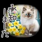 冬春 応援 水彩 ねことお花✿大人上品お花