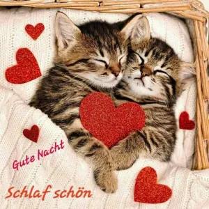 Gute Nacht Schlaf schön - getsticker.com