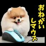 Cuanta maldad hay en ti deberás☦️