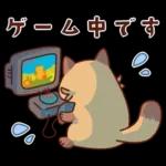 imananishiteru tanuki