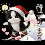 可愛いハチワレ猫 サンタ帽 冬 気づかい