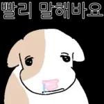 호기심 많은 소