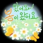 향기로운 봄꽃 메세지