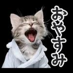 リアルな子猫ミーム（秋ハロウィン）