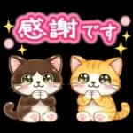 猫まみれのやさしい日常【春】