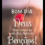 MÊS DE JUNHO 