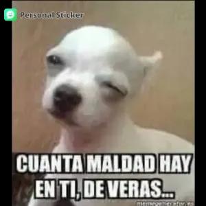 CUANTA MALDAD HAY EN TI, DE VERAS... - getsticker.com