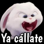 Espero que te sientas mejor mi reina