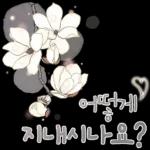 싱그러운 하루 메세지