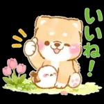 シマエナガといやしばいぬ❤️春/柴犬敬語