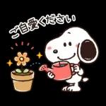 【結びのひとこと】ゆるカワ♪スヌーピー