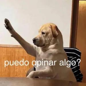 ihfyjp