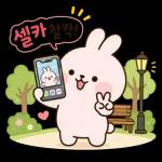 분홍토끼의 포근한 하루일상2