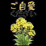 もふ屋画♪チップとデール