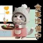 スコティッシュ猫 可愛いグレーニット 冬