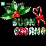 Buona Festa dell'Immacolata!