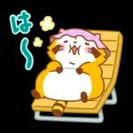 まんまるラスカル☆ヘルシーになろう