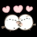 【夏】エナガさんとシマエナガさん12