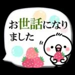 毎日しろちゃん22❤敬語・長文