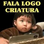 Meme Brasileiro 12093