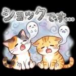 ずっと使える♪猫たちの日常