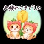 毎日使える 茶トラねこ 春 日常 いちご帽子