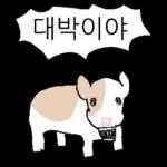 호기심 많은 소