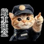 リアル猫警察官