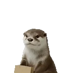 飛び出す！カワウソ