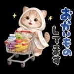 ちびニャンず♡毎日連絡スタンプ