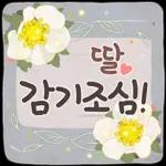 사랑하기 좋은 날 (딸에게)