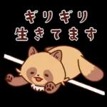 imananishiteru tanuki