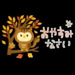 大人かわいい✳︎優しい秋色&気遣い